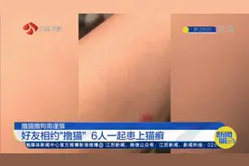 注意！杭州6个年轻人一起“撸猫”，结果患上“猫癣”奇痒难忍视频封面