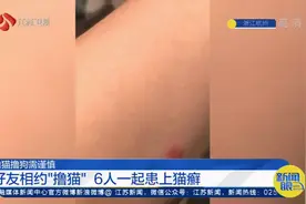 注意！杭州6个年轻人一起“撸猫”，结果患上“猫癣”奇痒难忍视频封面