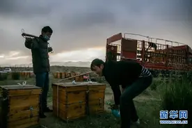 努尔木拜的“转场人生”图片