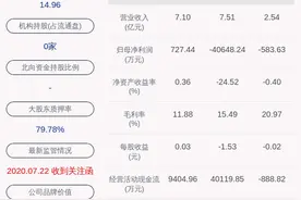 ST八菱：公司股票存在被暂停上市的风险图片