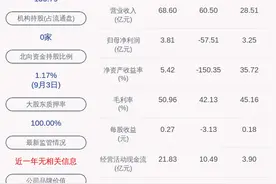 上交所向鹏博士发出问询函图片