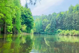 森系长沙的正确打开方式！一首凉凉送给“秋老虎”图片