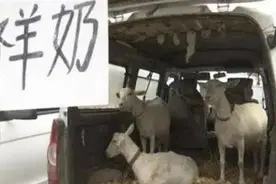现挤奶建议儿童不要喝，陕西一名幼童出事了图片