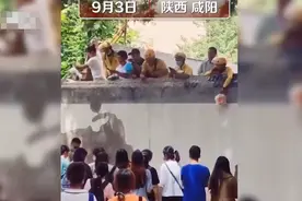 数十名外卖员爬墙为学生送外卖，学生称食堂人多，校方回应了图片