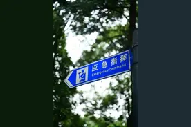 火了！近2万人次在为成都“体检”！图片