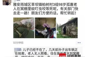 云求助 | 四川雅安九旬老人独居窝棚奄奄一息？当地政府：始终有人照顾，现已送医养中心图片