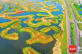 海口迈雅河区域生态修复项目渐露倩影图片