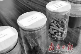 建筑废料变透水砖 污水淤泥成燃料棒图片