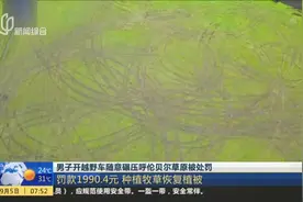 男子开越野车随意碾压呼伦贝尔草原被处罚：罚款1990.4元  种植牧草恢复植被视频封面