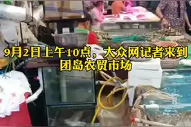 开海记者探访小港码头：海鲜刚靠岸就被“抢购一空”图片