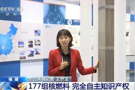 177组核燃料 我国自主三代核电华龙一号全球首堆开始装料图片