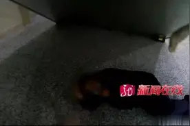 哈尔滨这个“八戒”就是好喝，这回终于把自己喝进了好地方图片