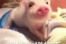 新生必看！松江大学城及周边有这些休闲娱乐好去处图片