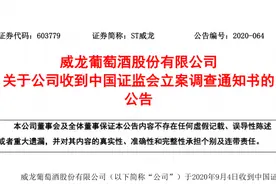 ST威龙涉嫌信批违规被立案 或引发投资者索赔图片
