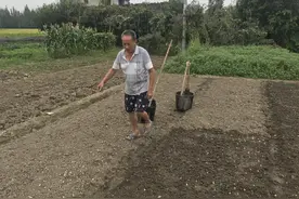 见证｜三星堆国宝讲述人：农民工取土无意中发现玉石 一锄下去碰到青铜面具图片