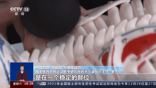 解压、减肥还能治病？网红筋膜枪真有这么神奇吗？