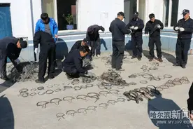 虎豹公园3年救助国家一二级保护动物69只｜常态化巡护下猎套遇见率下降94.55%图片