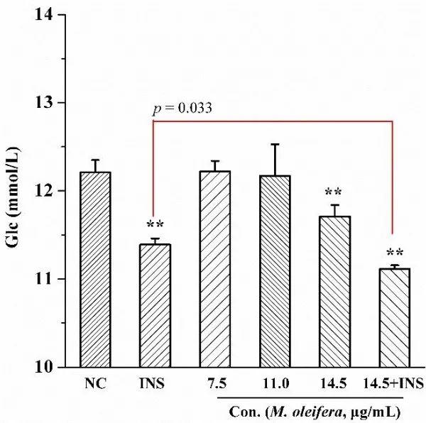 辣木降糖、降脂及其活性成分研究获进展