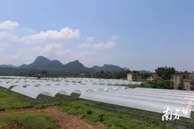 河源江东新区小康生活新实践⑧ 雅色村：打造极具岭南韵味的田园综合体图片