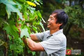 “懒汉”变形记——邱宗华的田园生活图片