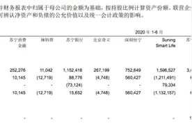 苏宁银行上半年营收超去年全年，第五大股东康得新已暂停上市图片