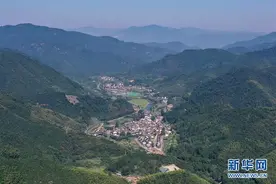 浙江桐庐：山村“组团”打造乡野慢生活图片