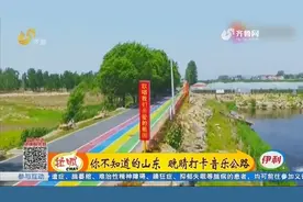 神奇！枣庄这条公路会唱歌，开车保持时速40公里，会有惊喜发生视频封面
