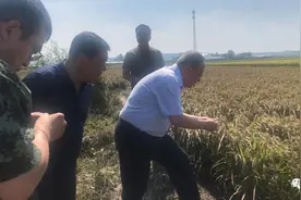 牡丹江市市长王文力来我市检查台风受灾情况指导灾后恢复工作图片