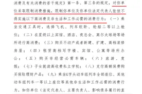 郑爽前男友张恒被限制消费！公司曾被曝拖欠员工工资，诉讼开庭日期已排到10月份图片