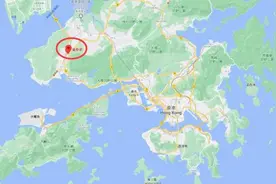 陈文伟：香港防疫比内地松懈，有时我们也很无奈图片