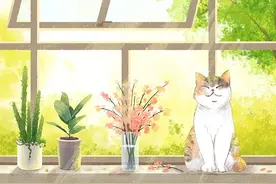 晨读丨有一种人生智慧，叫慢一点也没关系图片