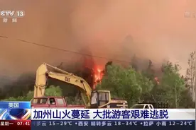 美国加州山火蔓延 大批游客艰难逃脱图片