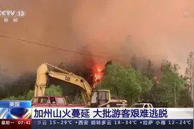 美国加州山火蔓延 大批游客艰难逃脱图片