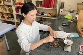 “90后”女研究生返乡创业 传承花舞茶工艺图片