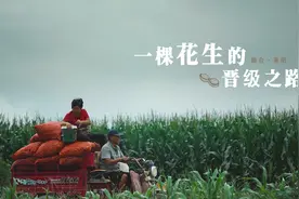一颗花生的晋级之路视频封面