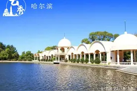 云秀哈尔滨·冰城日历丨9月7日，四季赏景，冰城消暑好去处——太阳岛图片