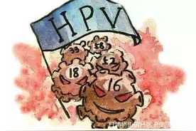 HPV疫苗小知识大普及图片
