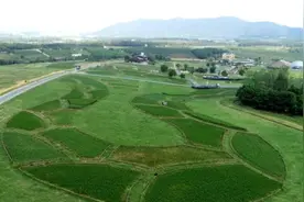 巢湖：郁金香高地景区上演视觉盛宴图片