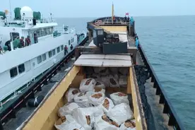 浙江海警局查获一起海上涉嫌走私香烟案，案值2000余万元图片