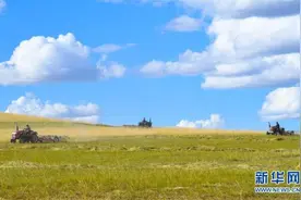内蒙古锡林郭勒：草原迎来打草季图片