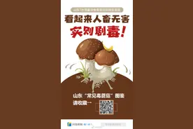 山东7岁男童误食毒蘑菇致多器官衰竭，这份常见毒蘑菇图鉴请收藏图片