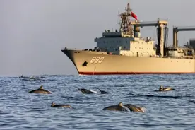 海豚伴航中国军舰，画面太美图片