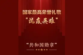 今日颁发！象征着国家最高荣誉的勋章长啥样？图片