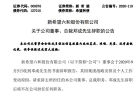 新希望又换将！刘畅接班七年三换总裁，资深老兵离职，接棒者是地产圈少壮派……图片