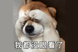 地铁劈叉、灵堂唱歌、强吻大爷、外滩跳江……如此“野路子”直播，你能忍到第几个？图片