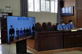 采伐两棵树，他们付出惨痛的代价图片