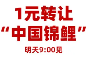 信小呆一元转让“中国锦鲤”，网友：辞职信已写好图片