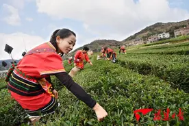 漳州华安送坑村：高山族村民生活越过越红火「组图」图片