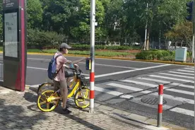 陆家嘴环路出现自控式红绿灯，过马路前先按一按图片