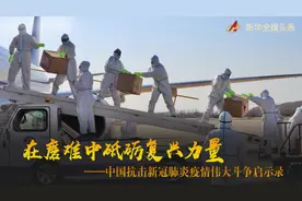 中国抗击新冠肺炎疫情伟大斗争启示录图片